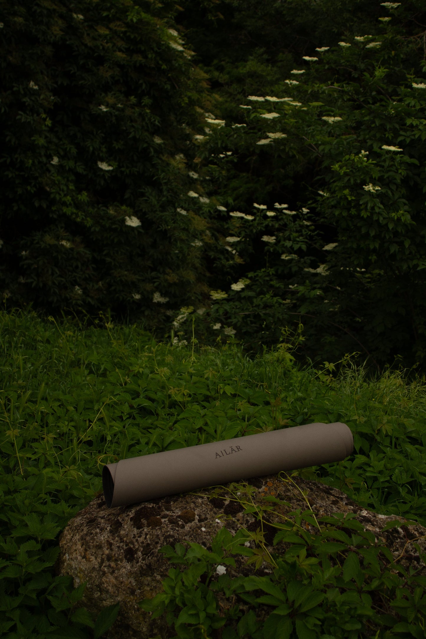Sustainable best grip Yoga mat Nice