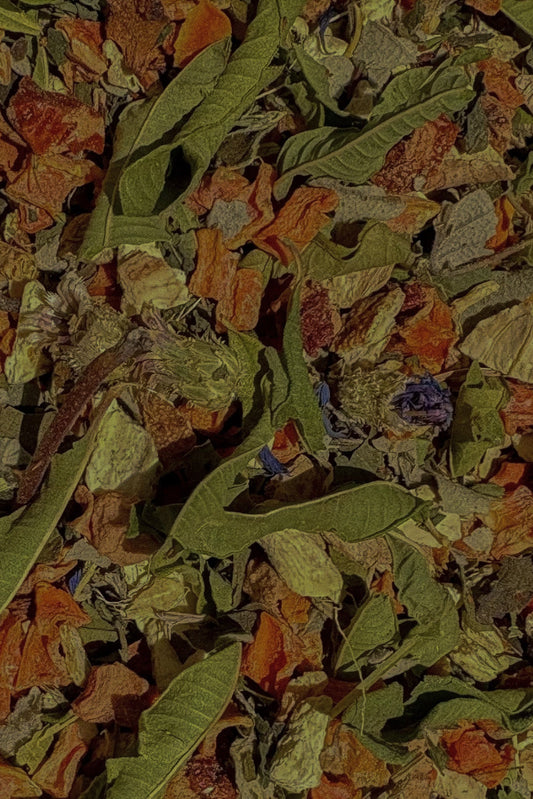 Ailār Yoga Infusion